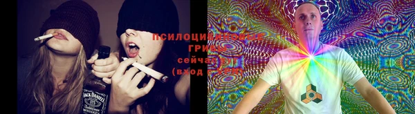 бошки Алексеевка