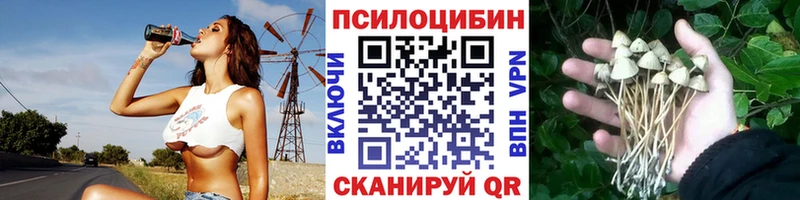 Купить где  Санкт-Петербург  Псилоцибиновые грибы Cubensis 